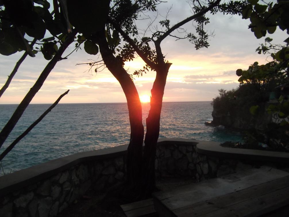 Name:  jamaica april2013 red camera 068.jpg
Views: 1811
Size:  89.8 KB