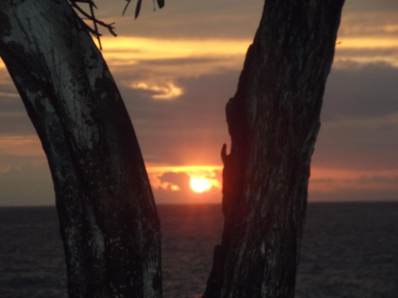 Name:  jamaica april2013 red camera 069.jpg
Views: 1810
Size:  86.9 KB