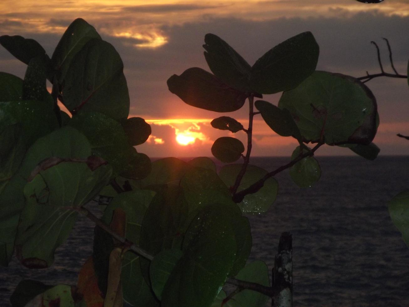 Name:  jamaica april2013 red camera 070.jpg
Views: 1772
Size:  88.2 KB