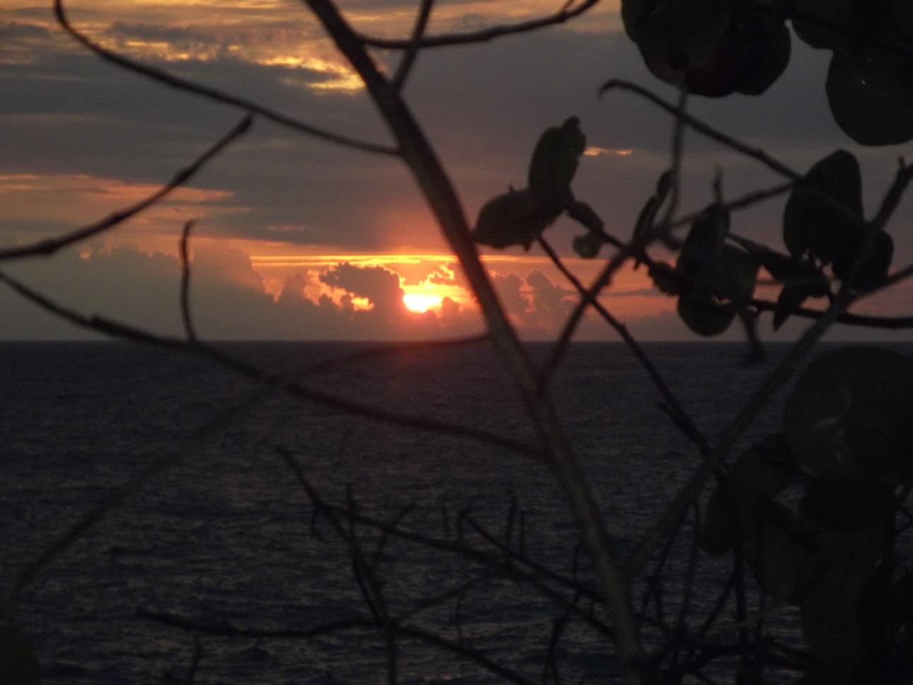 Name:  jamaica april2013 red camera 071.jpg
Views: 1732
Size:  84.7 KB