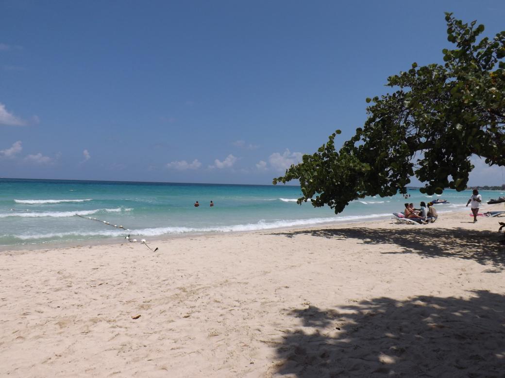 Name:  jamaica apr2013 new pt2 149.jpg
Views: 1450
Size:  90.7 KB