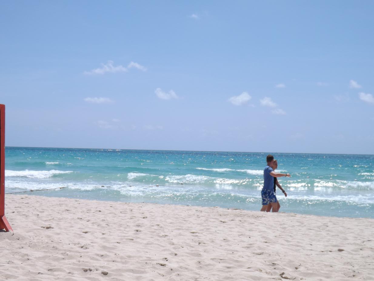 Name:  jamaica apr2013 new pt2 171.jpg
Views: 1429
Size:  85.5 KB