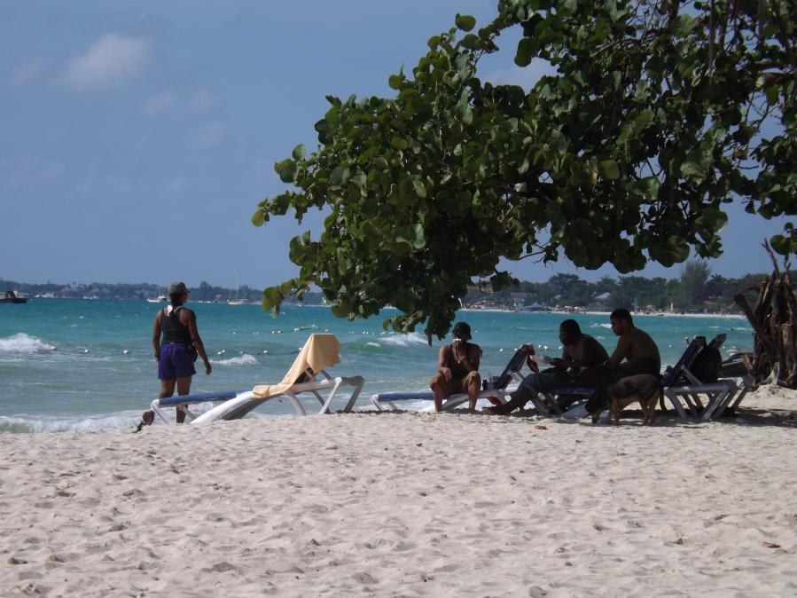 Name:  jamaica apr2013 new pt2 190.jpg
Views: 1435
Size:  95.3 KB