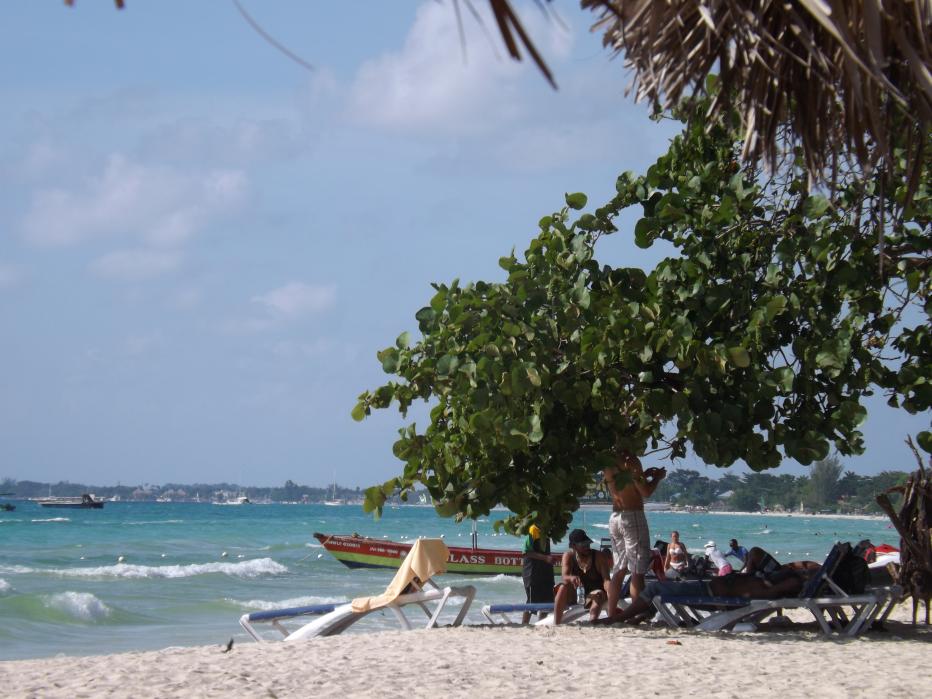 Name:  jamaica apr2013 new pt2 191.jpg
Views: 1371
Size:  93.1 KB