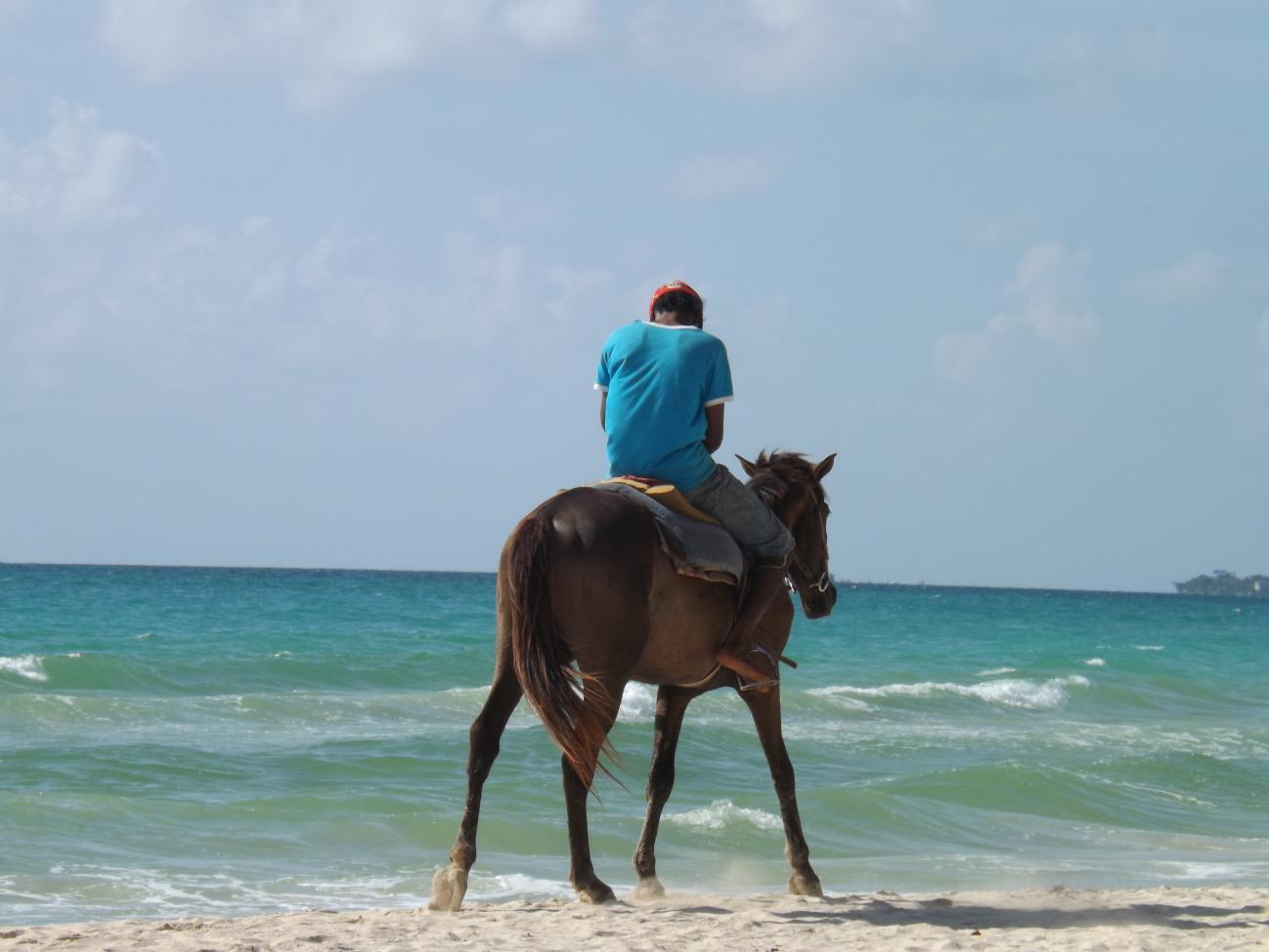 Name:  jamaica apr2013 new pt2 188.jpg
Views: 1417
Size:  81.6 KB