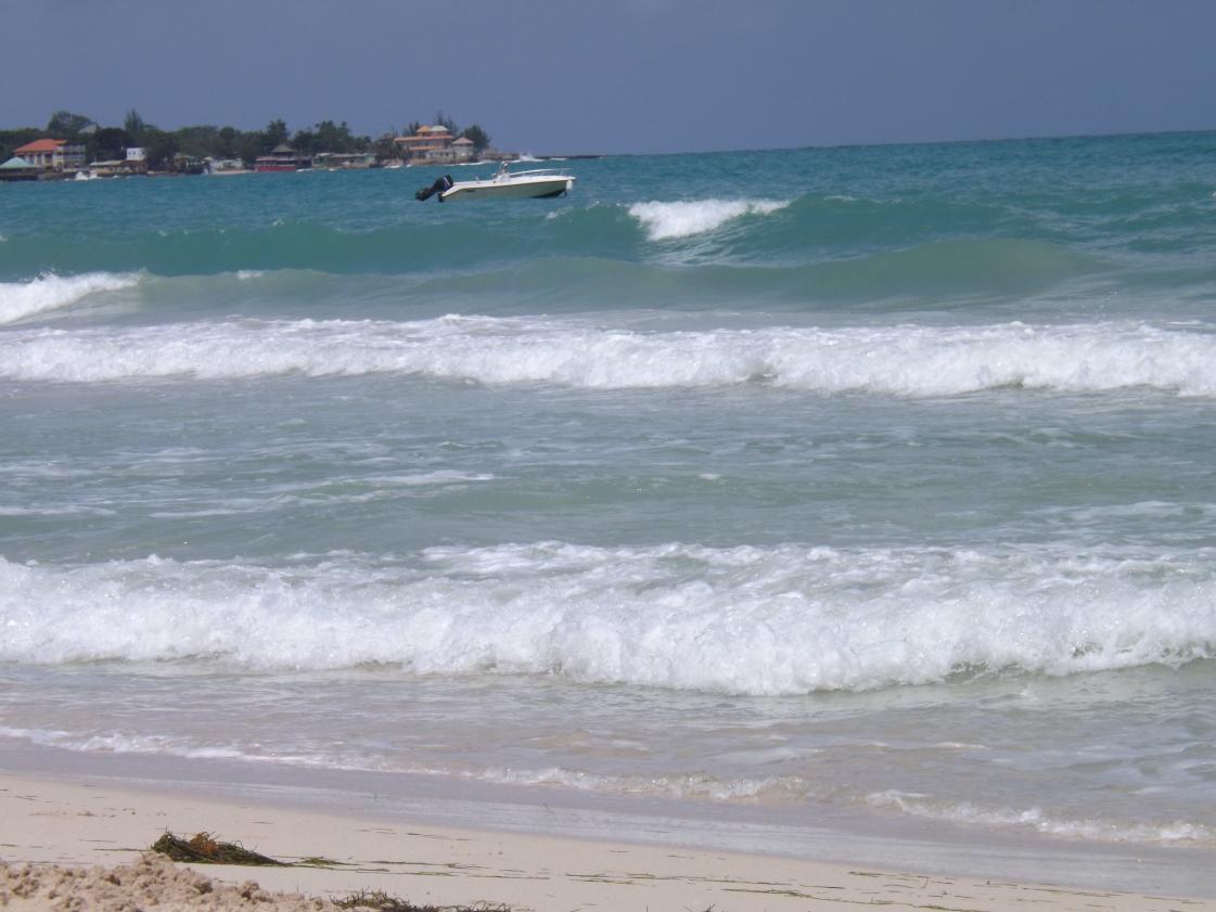 Name:  jamaica apr2013 new pt2 229.jpg
Views: 1387
Size:  89.4 KB