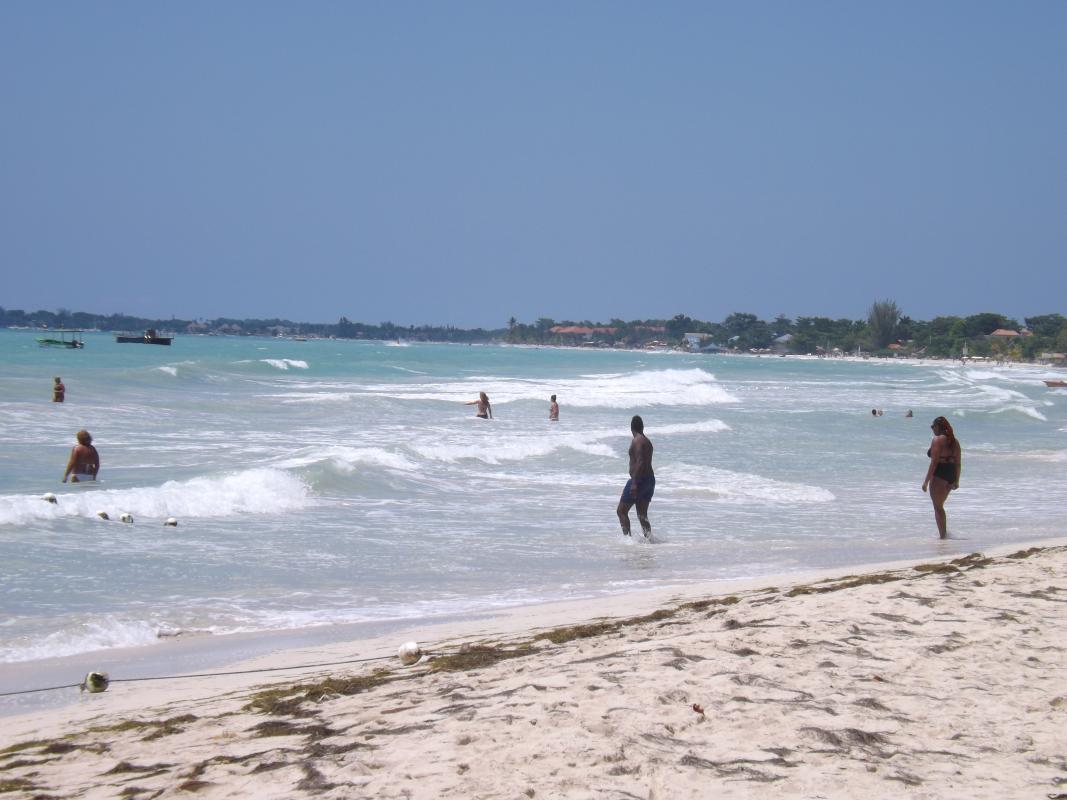 Name:  jamaica apr2013 new pt2 246.jpg
Views: 1389
Size:  91.0 KB