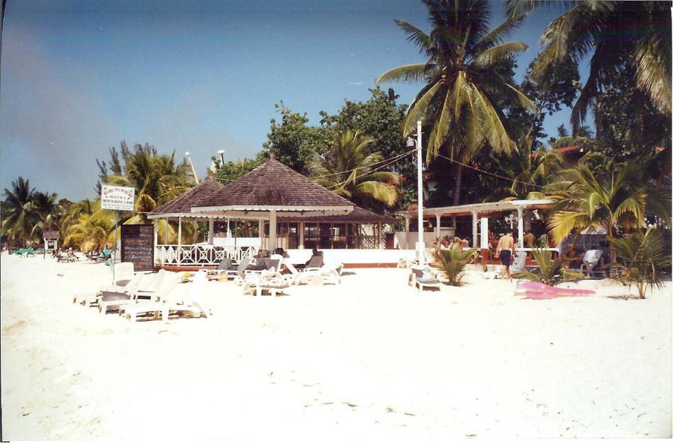 Name:  NEGRIL PALM BEACH 001.jpg
Views: 1017
Size:  96.6 KB