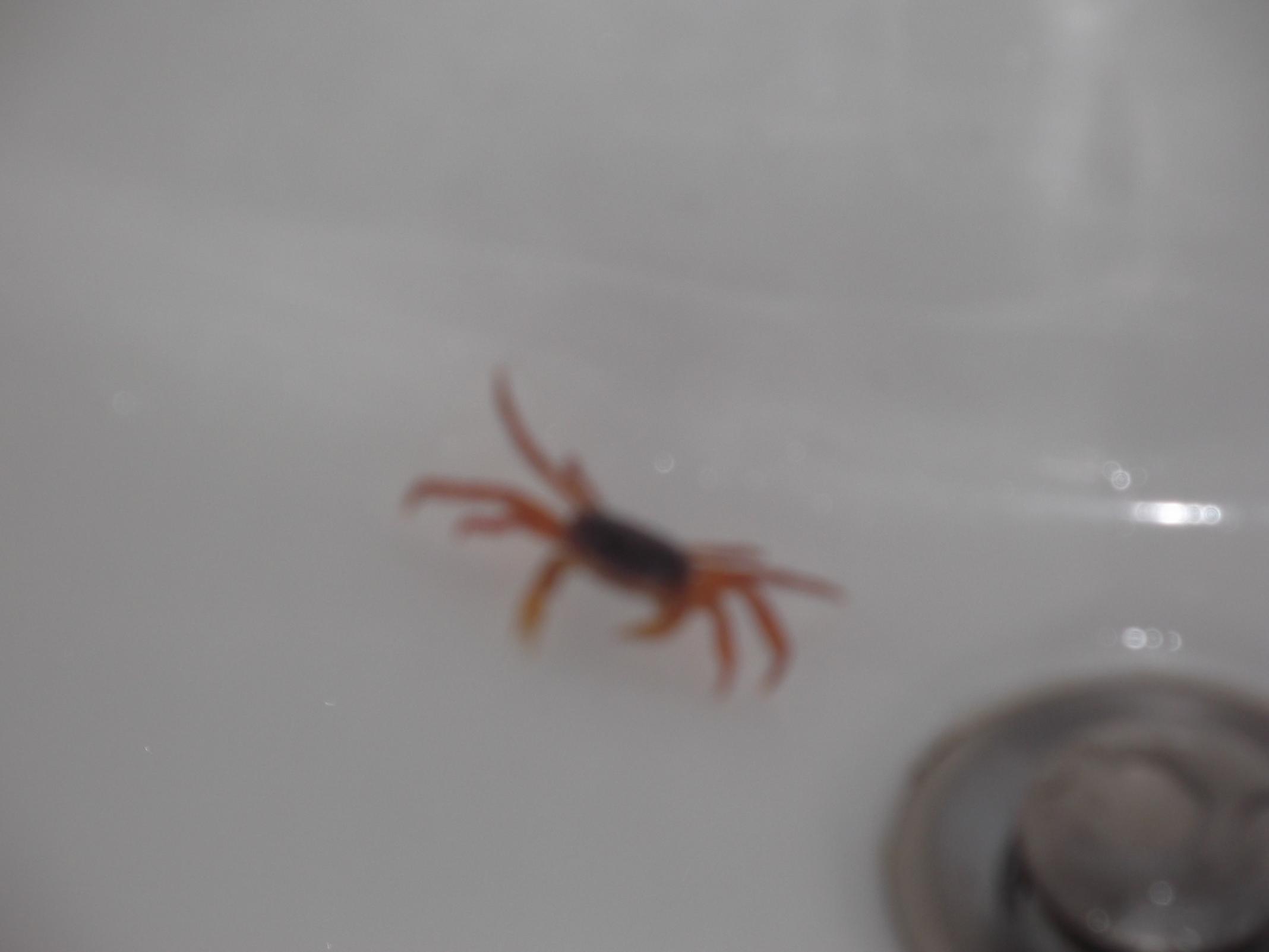 Name:  jamaica april2013 red camera 103.jpg
Views: 1740
Size:  92.7 KB
