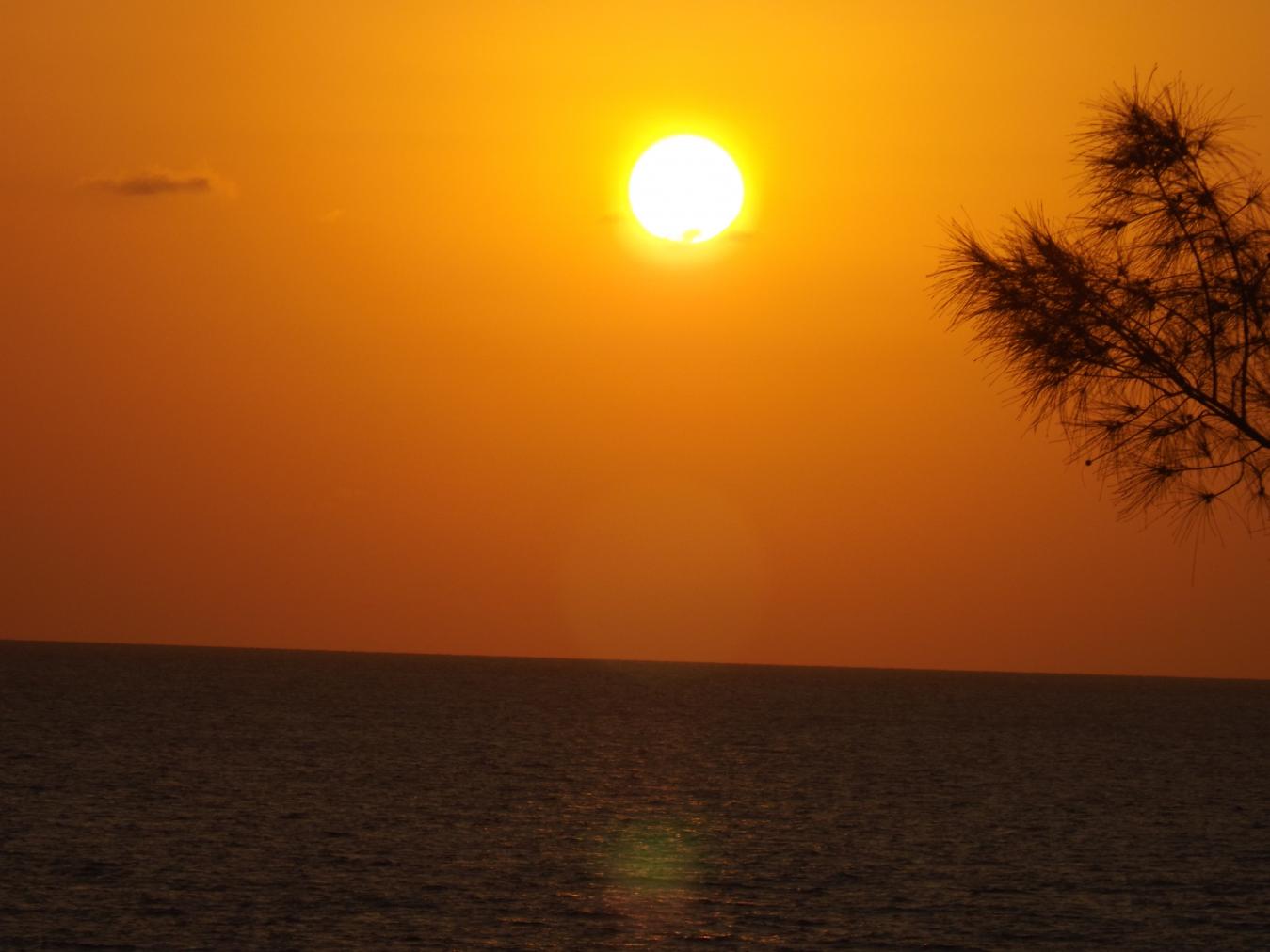 Name:  jamaica apr2013 new pt2 533.jpg
Views: 1484
Size:  85.4 KB