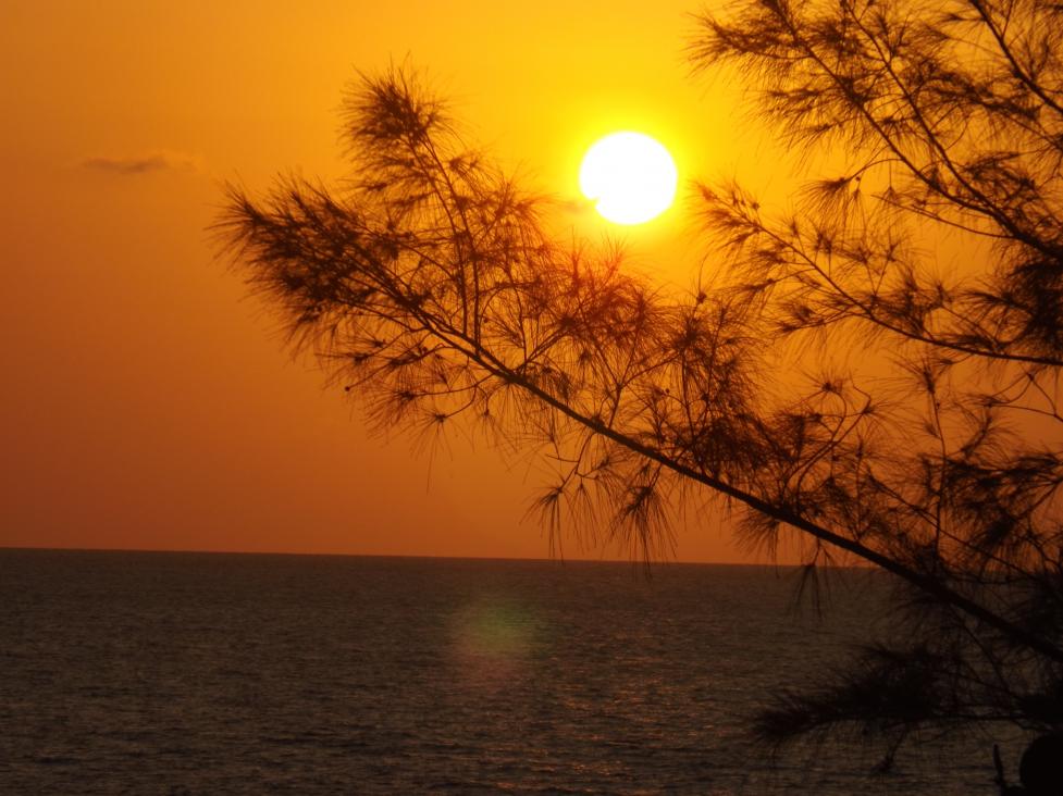 Name:  jamaica apr2013 new pt2 534.jpg
Views: 1446
Size:  93.3 KB