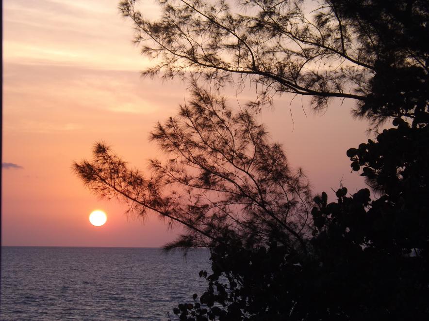 Name:  jamaica apr2013 new pt2 538.jpg
Views: 1409
Size:  96.5 KB