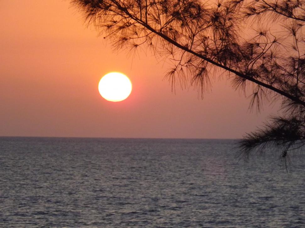Name:  jamaica apr2013 new pt2 539.jpg
Views: 1433
Size:  92.7 KB