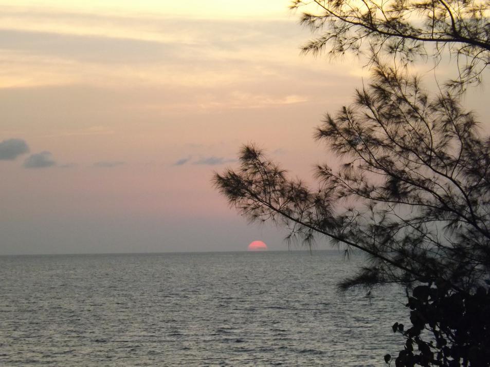 Name:  jamaica apr2013 new pt2 546.jpg
Views: 1427
Size:  94.6 KB