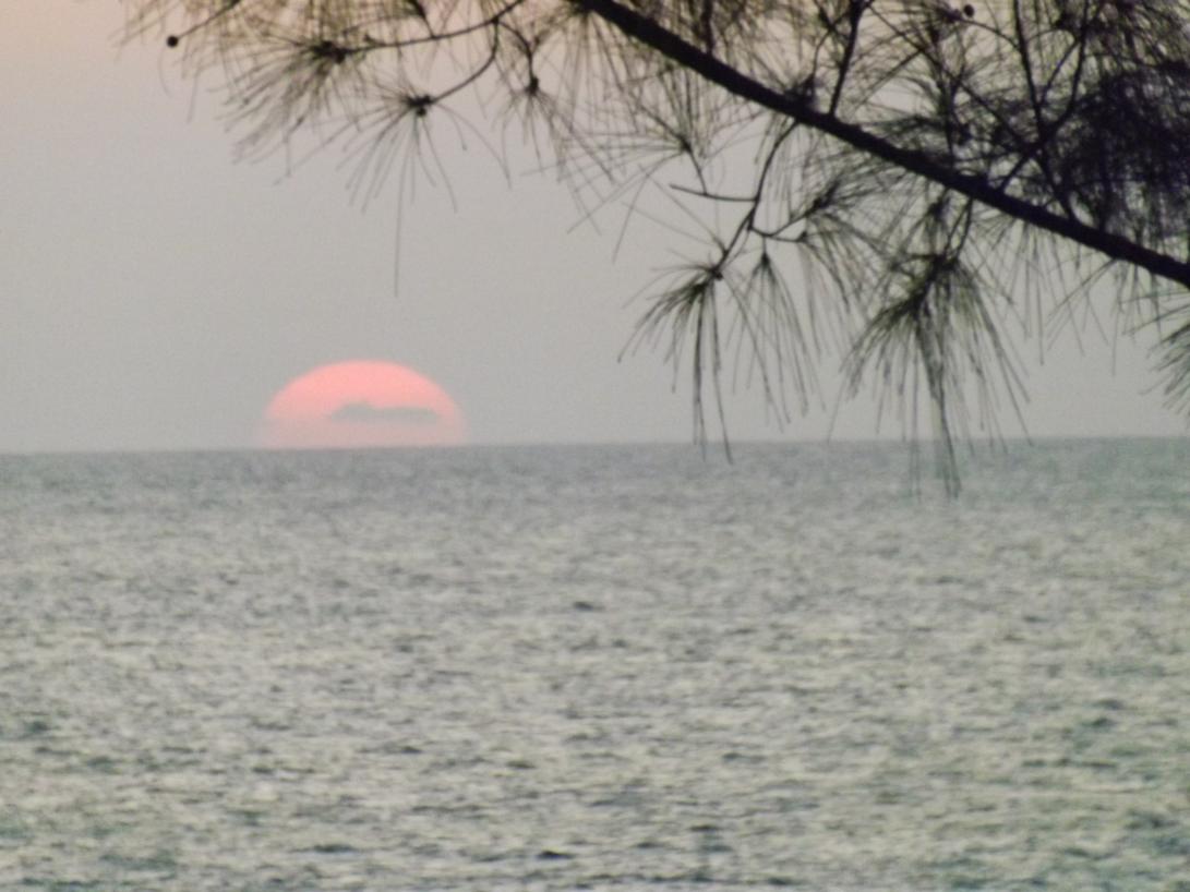 Name:  jamaica apr2013 new pt2 547.jpg
Views: 1406
Size:  86.2 KB