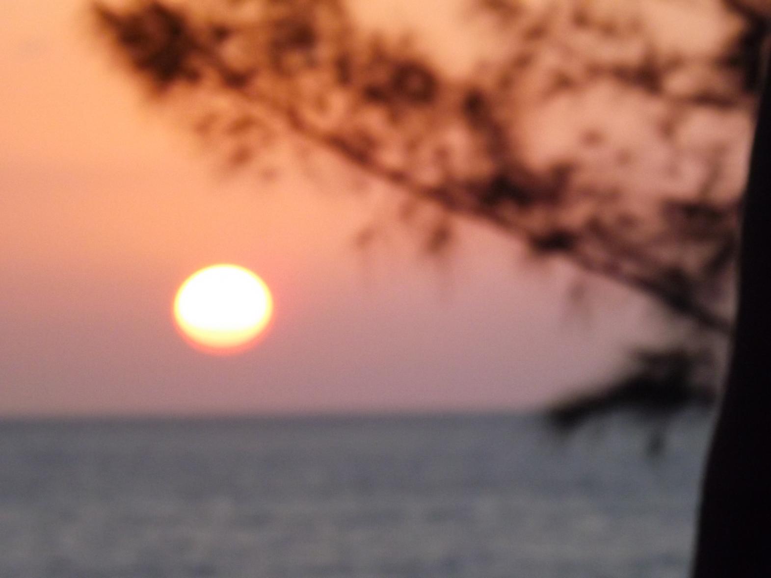 Name:  jamaica apr2013 new pt2 540.jpg
Views: 1453
Size:  91.9 KB