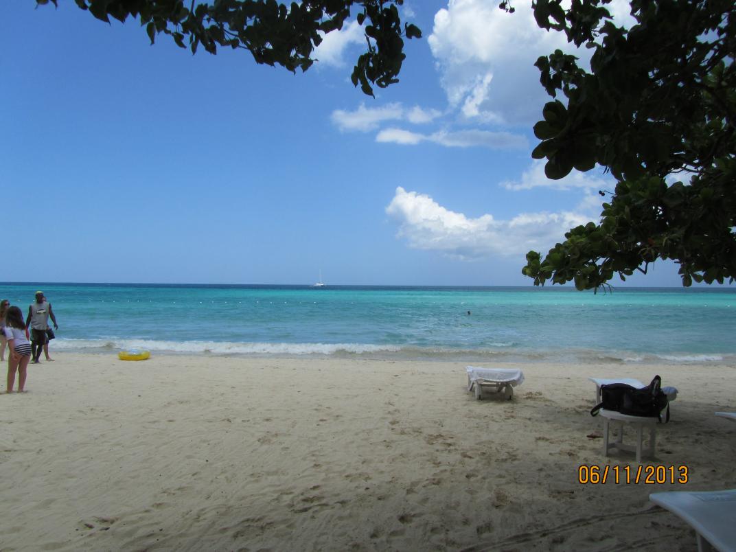 Name:  IMG_0853.jpg
Views: 350
Size:  88.8 KB