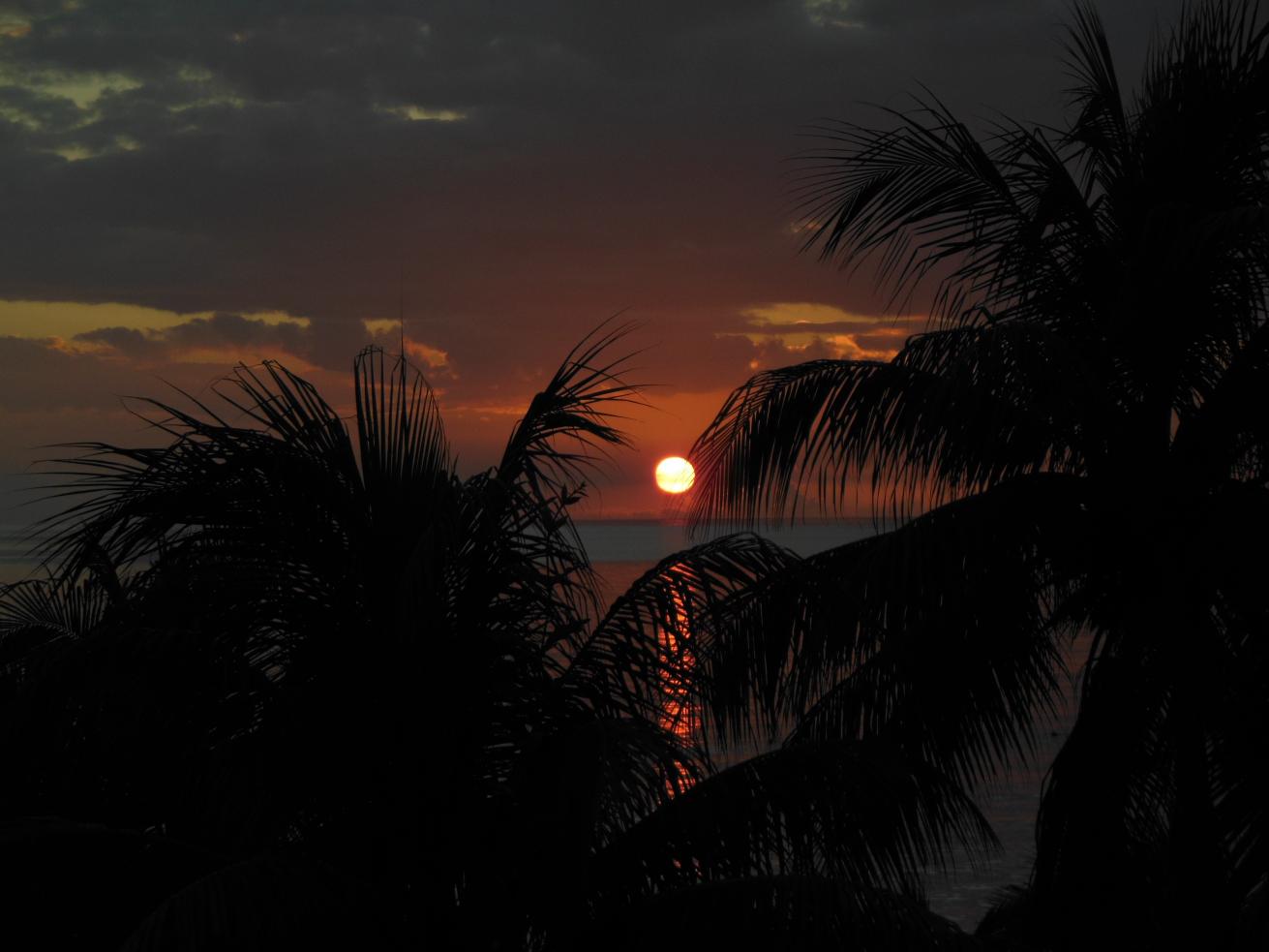 Name:  DSCN1239.jpg
Views: 501
Size:  84.6 KB