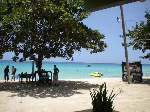 Click image for larger version. 

Name:	Jamaica 2010 photos (1103).jpg 
Views:	687 
Size:	44.3 KB 
ID:	2901