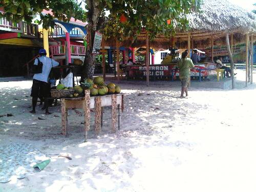 Click image for larger version. 

Name:	Jamaica 2010 Fed 018.jpg 
Views:	688 
Size:	43.2 KB 
ID:	2902