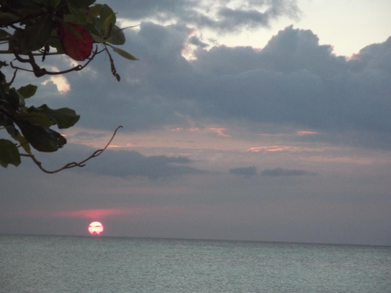 Name:  jamaica april2013 red camera 224.jpg
Views: 1857
Size:  89.6 KB