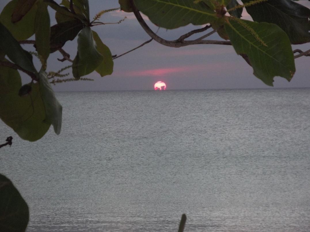 Name:  jamaica april2013 red camera 226.jpg
Views: 1781
Size:  92.8 KB