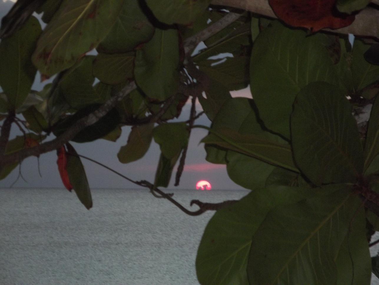 Name:  jamaica april2013 red camera 227.jpg
Views: 1764
Size:  88.6 KB