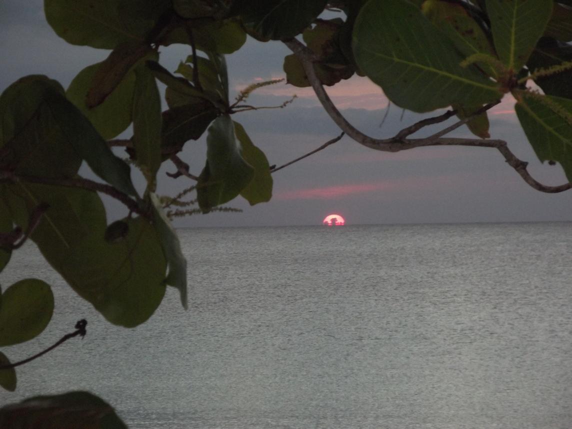 Name:  jamaica april2013 red camera 228.jpg
Views: 1722
Size:  91.1 KB