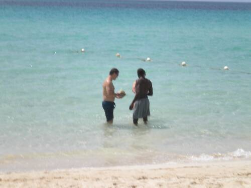 Click image for larger version. 

Name:	Jamaica 2010 photos (1110).jpg 
Views:	697 
Size:	18.1 KB 
ID:	2904