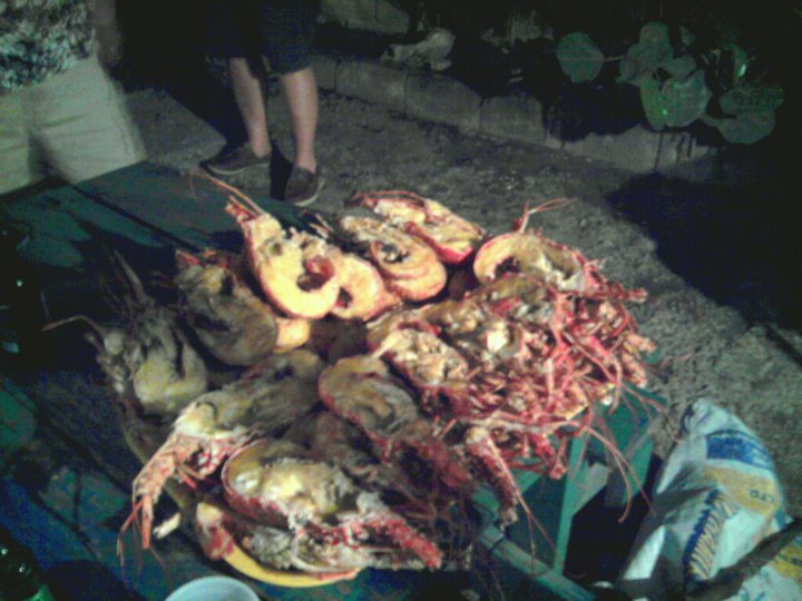 Name:  lobster1.jpg
Views: 539
Size:  76.3 KB