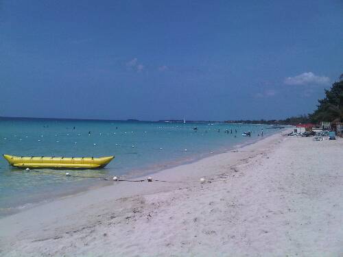 Click image for larger version. 

Name:	Jamaica 2010 Fed 016.jpg 
Views:	692 
Size:	19.6 KB 
ID:	2907
