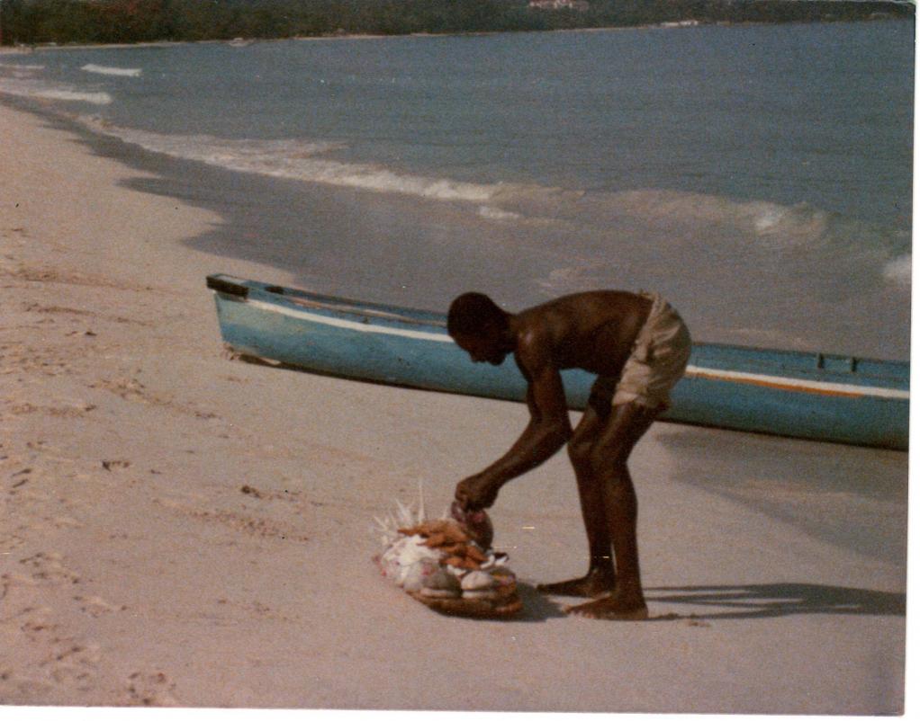 Name:  Negril seashells and canoe.jpg
Views: 1666
Size:  98.5 KB