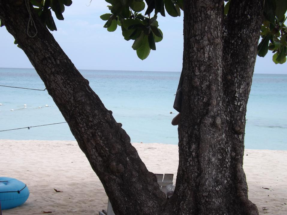 Name:  jamaica apr2013 new pt2 637.jpg
Views: 1550
Size:  93.5 KB