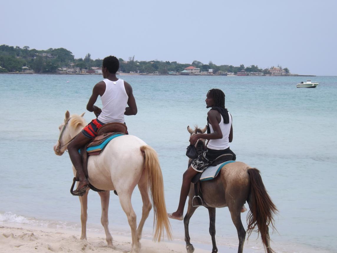 Name:  jamaica apr2013 new pt2 639.jpg
Views: 1524
Size:  87.2 KB