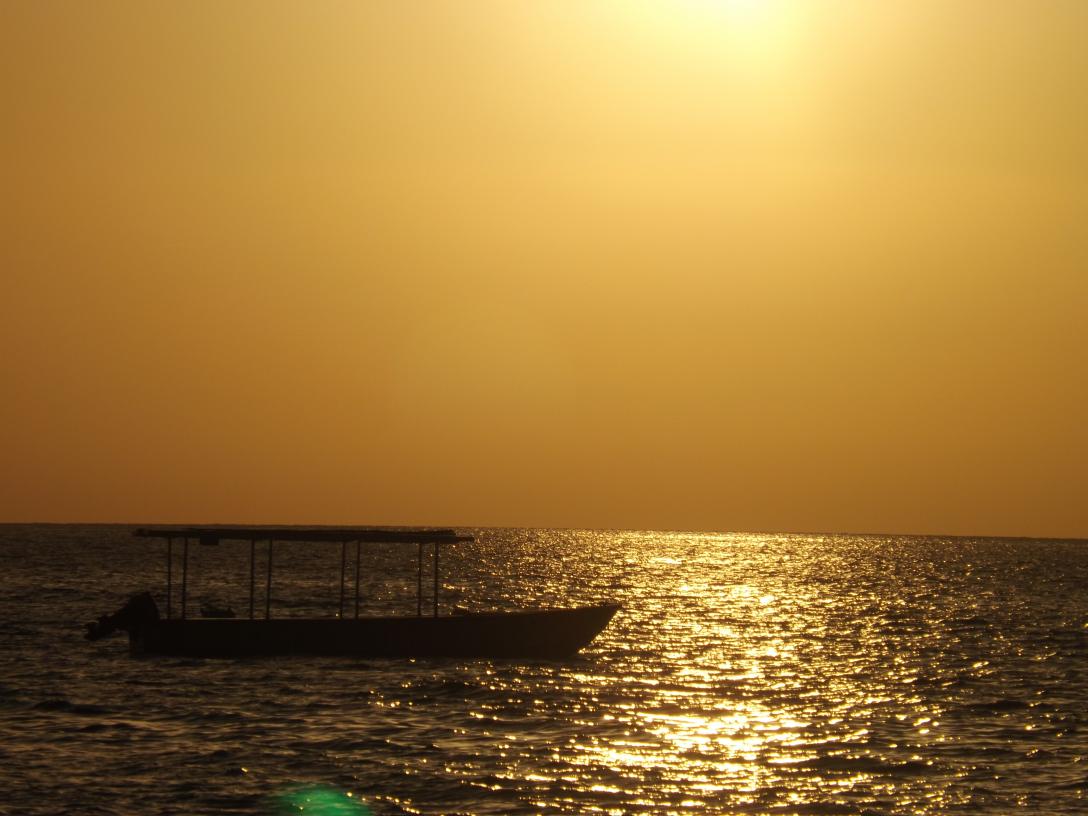 Name:  jamaica apr2013 new pt2 661.jpg
Views: 1501
Size:  89.8 KB