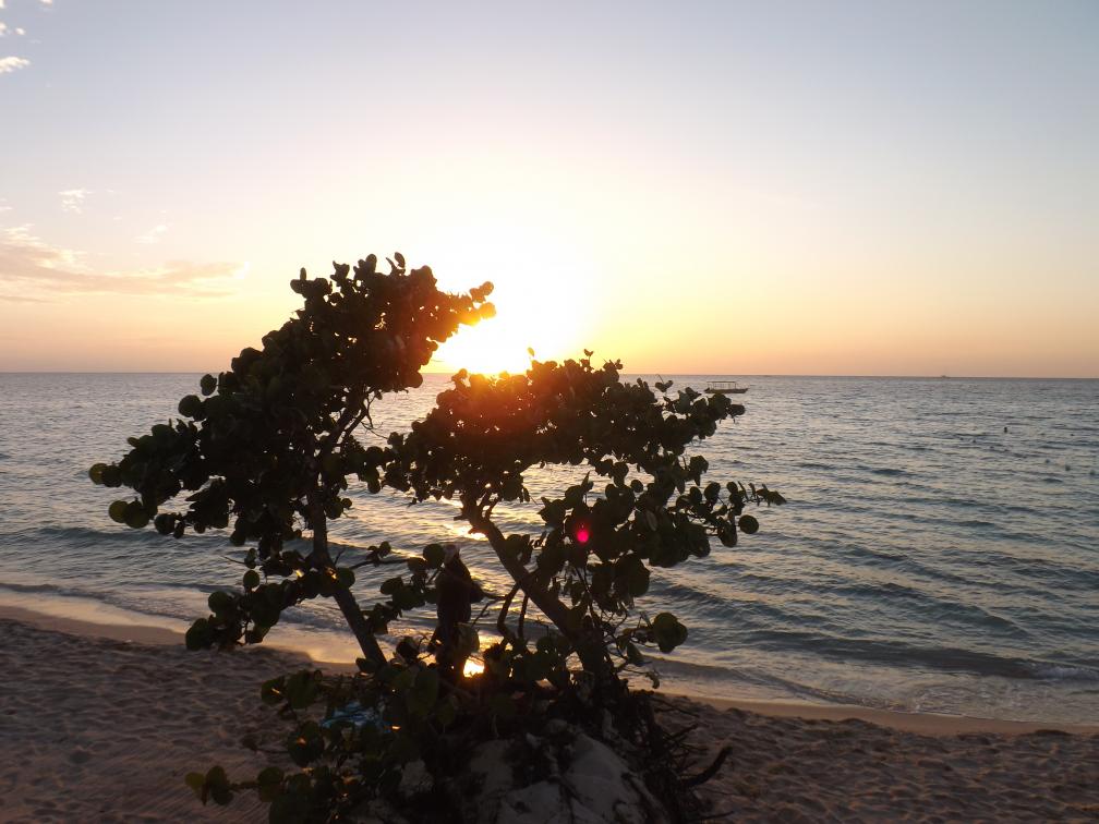 Name:  jamaica apr2013 new pt2 665.jpg
Views: 2245
Size:  91.3 KB
