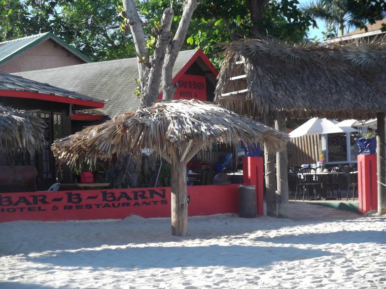 Name:  jamaica april2013 red camera 260.jpg
Views: 1902
Size:  98.7 KB