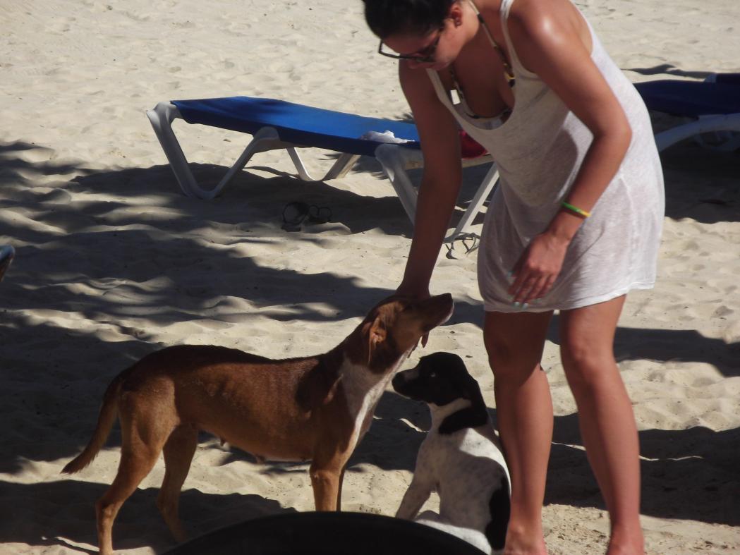 Name:  jamaica april2013 red camera 274.jpg
Views: 1871
Size:  86.7 KB