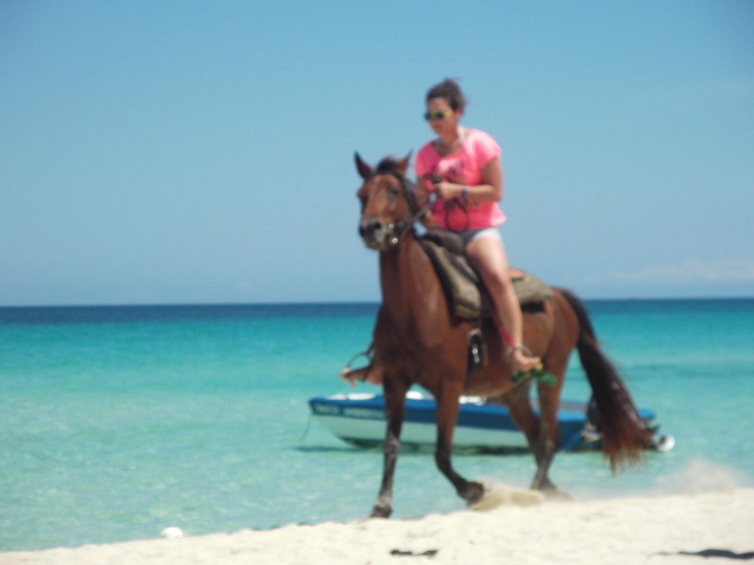 Name:  jamaica april2013 red camera 280.jpg
Views: 1919
Size:  81.2 KB