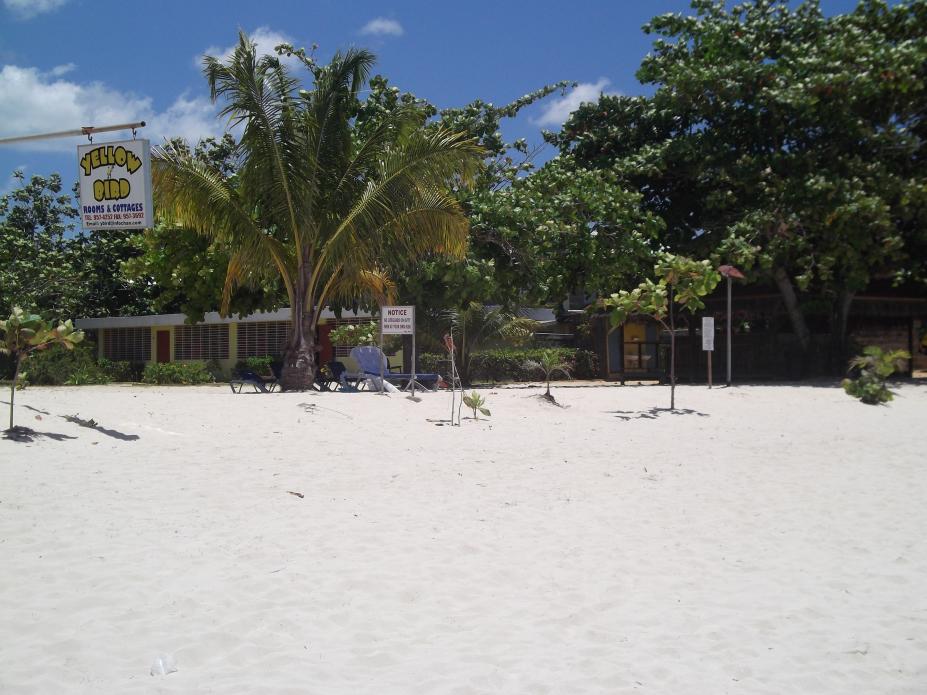 Name:  jamaica april2013 red camera 284.jpg
Views: 1931
Size:  95.3 KB