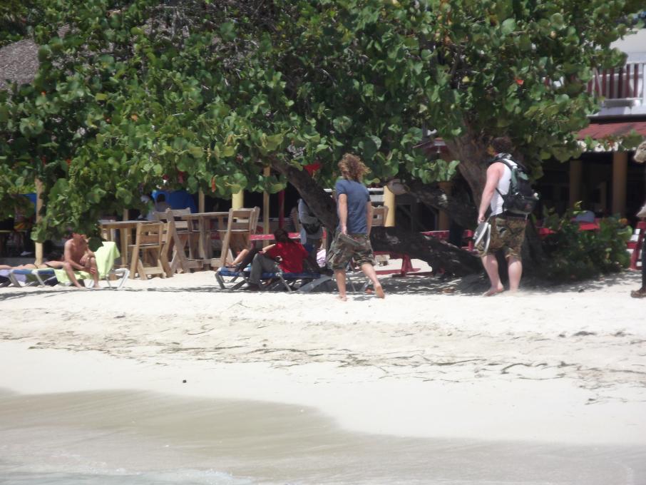 Name:  jamaica april2013 red camera 293.jpg
Views: 1917
Size:  94.2 KB