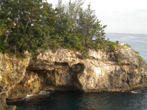 Click image for larger version. 

Name:	Jamaica 2010 photos (1123).jpg 
Views:	609 
Size:	43.7 KB 
ID:	2922