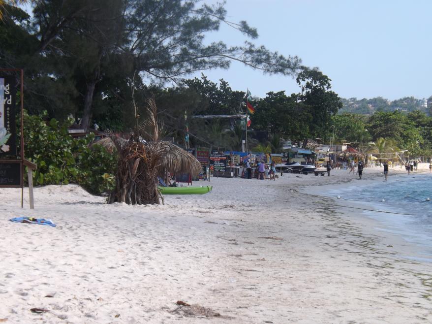 Name:  jamaica apr2013 new pt2 702.jpg
Views: 1865
Size:  96.1 KB