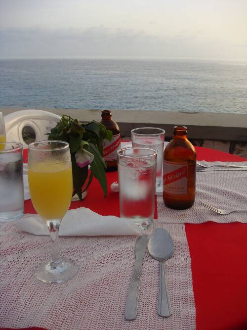 Click image for larger version. 

Name:	Angies photos Jamaica 2010 174.jpg 
Views:	567 
Size:	47.9 KB 
ID:	2924