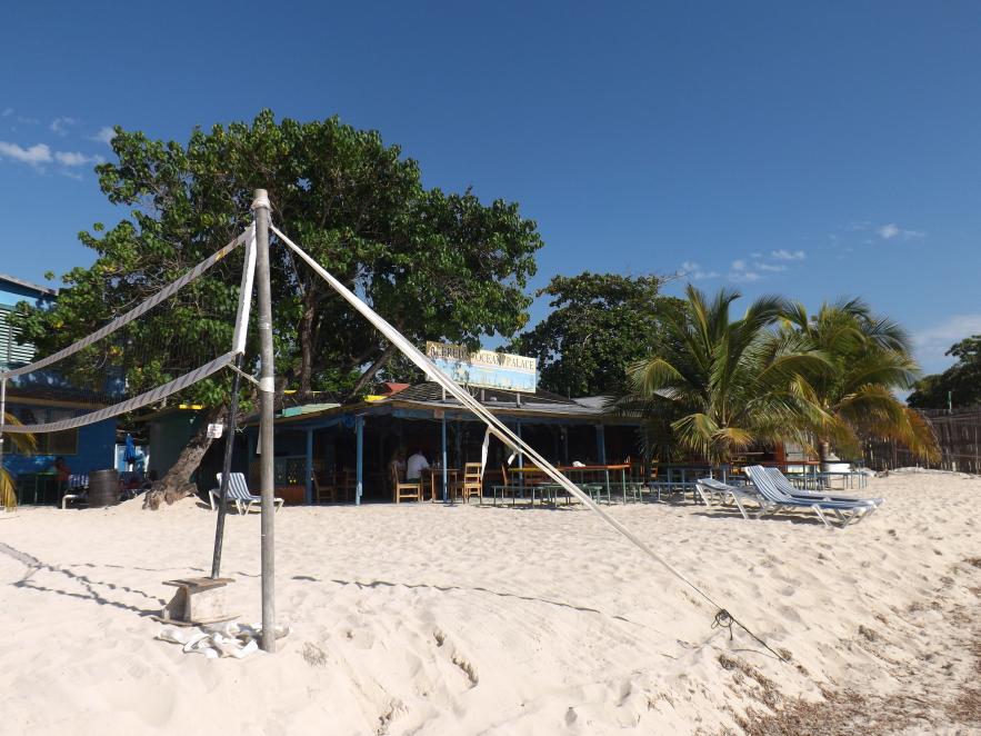 Name:  jamaica apr2013 new pt2 731.jpg
Views: 1827
Size:  96.2 KB
