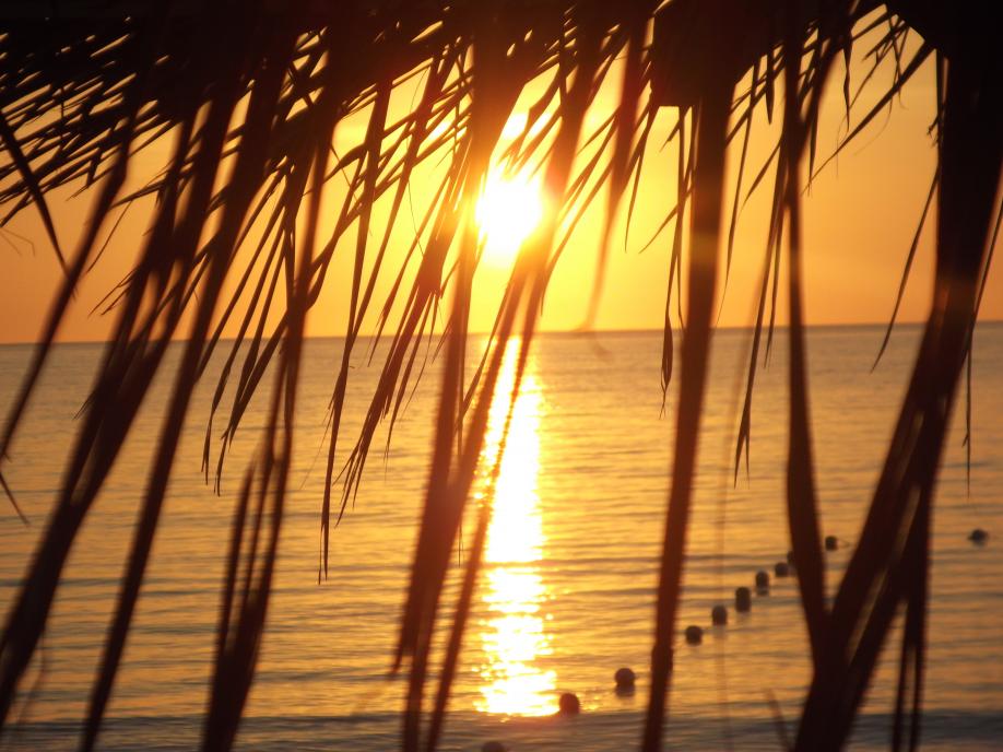Name:  jamaica april2013 red camera 297.jpg
Views: 1771
Size:  92.0 KB