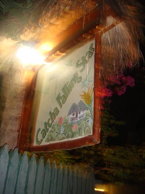 Click image for larger version. 

Name:	Angies photos Jamaica 2010 215.jpg 
Views:	570 
Size:	42.0 KB 
ID:	2933