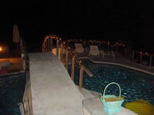 Click image for larger version. 

Name:	Angies photos Jamaica 2010 219.jpg 
Views:	566 
Size:	22.8 KB 
ID:	2935