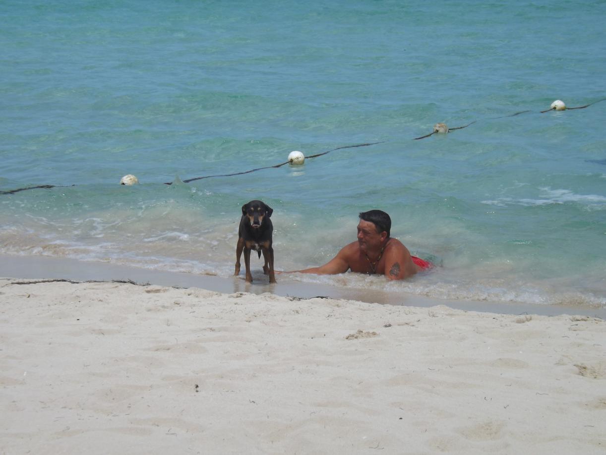 Name:  jamaica apr2013 new pt2 831.jpg
Views: 1682
Size:  89.6 KB