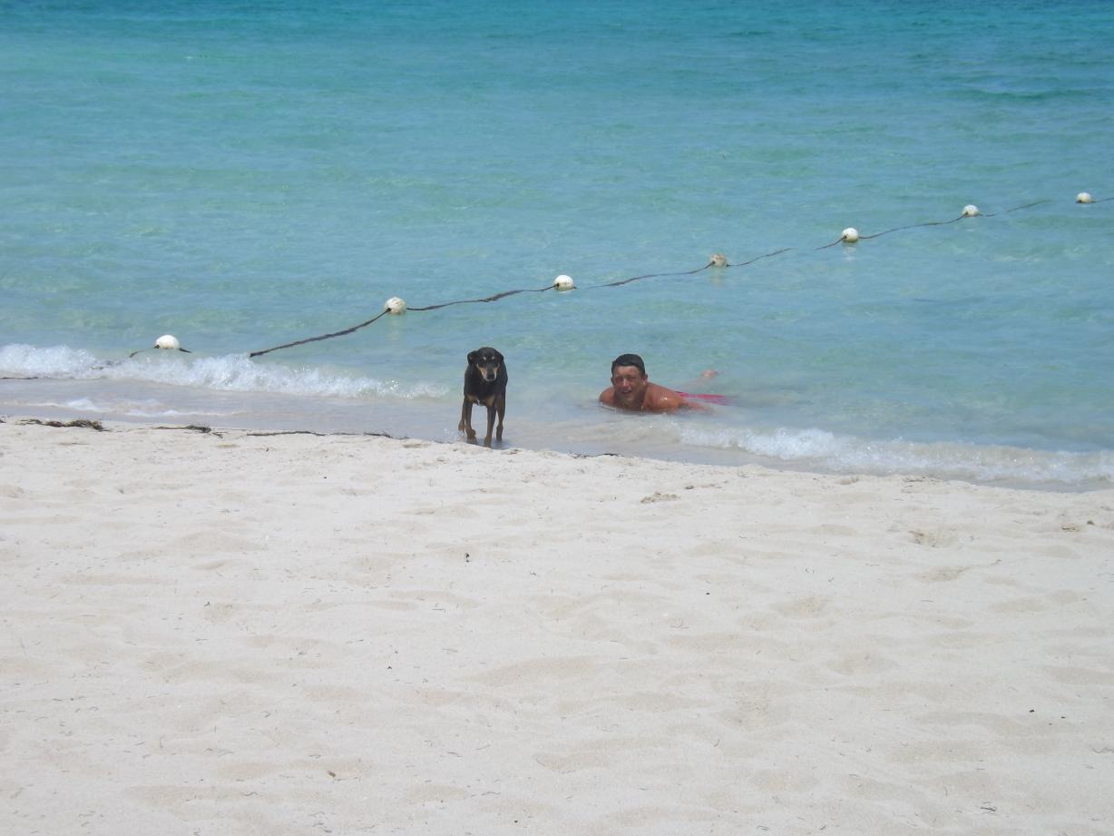 Name:  jamaica apr2013 new pt2 832.jpg
Views: 1722
Size:  91.9 KB